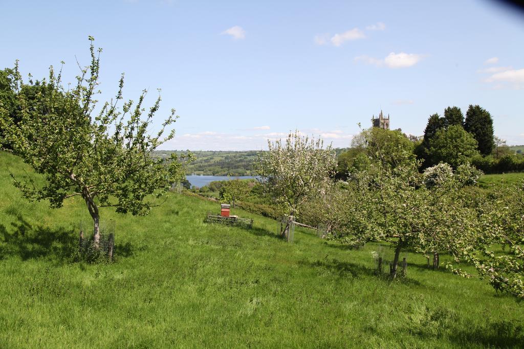 The Seymour Arms Otel Blagdon Dış mekan fotoğraf